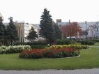 zdjęcie trawnika z kwietnikiem
